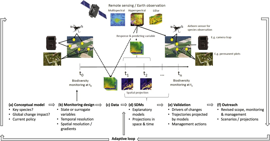Image from Randin et al., 2020