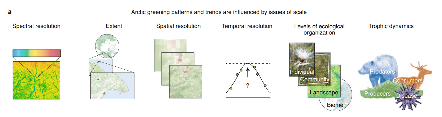 Image from Myers-Smith et al., 2020