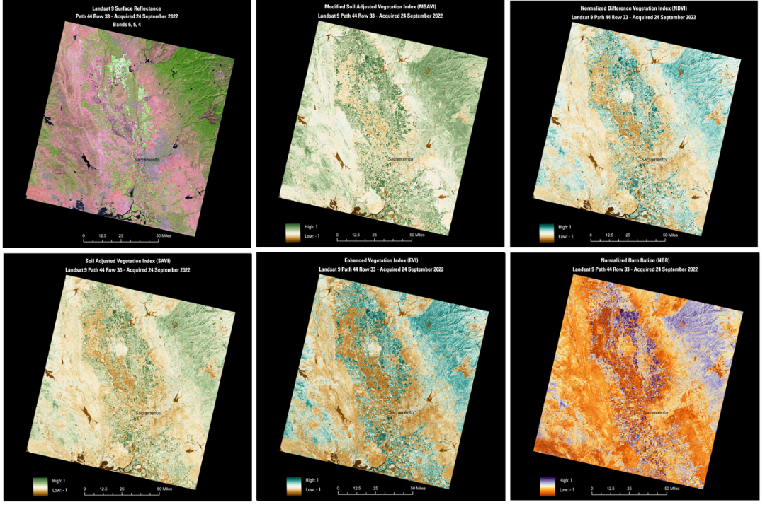 Figure from Cavender-Bares et al., 2022