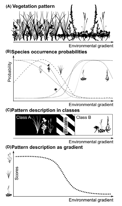 Image from Feilhauer et al., 2021